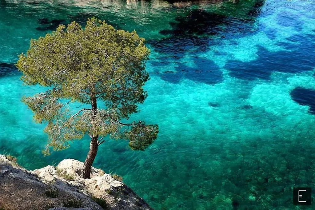 Super Cassis Paradis 8P Piscine Vue Mer