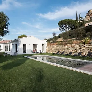 Mita Cassis
